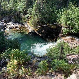 Meet your Posher, Yelena